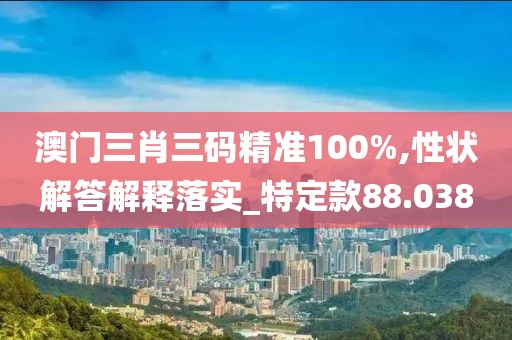 澳门三肖三码精准100%,性状解答解释落实_特定款88.038