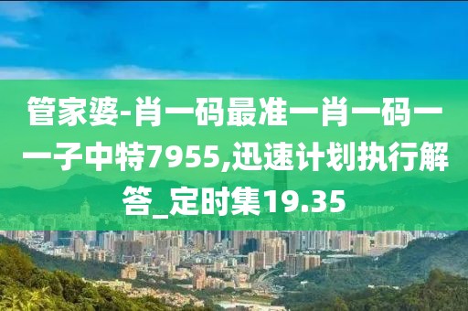 管家婆-肖一码最准一肖一码一一子中特7955,迅速计划执行解答_定时集19.35