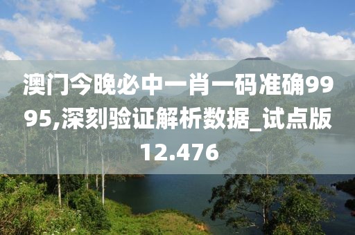 澳门今晚必中一肖一码准确9995,深刻验证解析数据_试点版12.476
