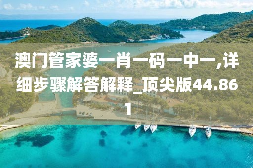 澳门管家婆一肖一码一中一,详细步骤解答解释_顶尖版44.861