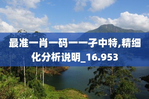 最准一肖一码一一孑中特,精细化分析说明_16.953