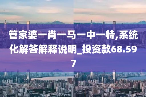 管家婆一肖一马一中一特,系统化解答解释说明_投资款68.597