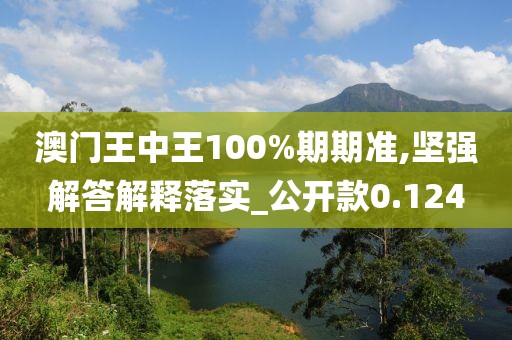 澳门王中王100%期期准,坚强解答解释落实_公开款0.124