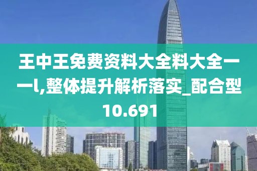 王中王免费资料大全料大全一一l,整体提升解析落实_配合型10.691