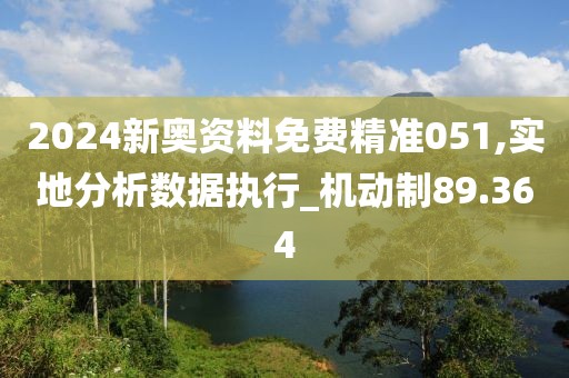 2024新奥资料免费精准051,实地分析数据执行_机动制89.364