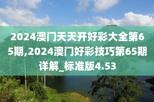 2024澳门天天开好彩大全第65期,2024澳门好彩技巧第65期详解_标准版4.53
