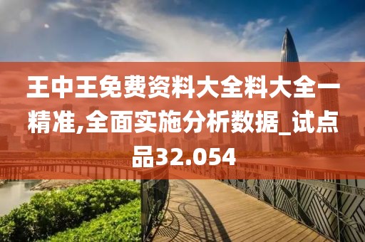 王中王免费资料大全料大全一精准,全面实施分析数据_试点品32.054