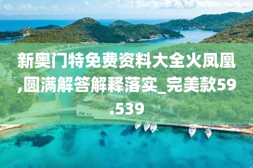 新奥门特免费资料大全火凤凰,圆满解答解释落实_完美款59.539