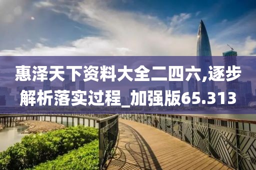 惠泽天下资料大全二四六,逐步解析落实过程_加强版65.313
