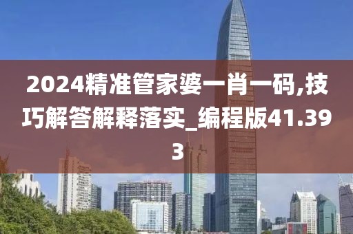 2024精准管家婆一肖一码,技巧解答解释落实_编程版41.393