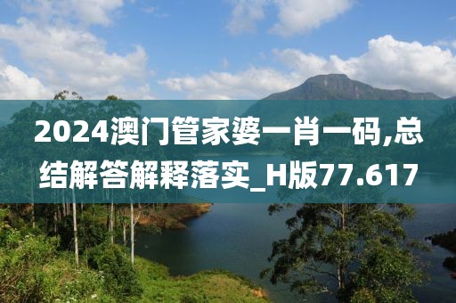 2024澳门管家婆一肖一码,总结解答解释落实_H版77.617