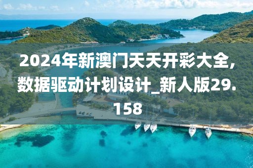 2024年新澳门天天开彩大全,数据驱动计划设计_新人版29.158