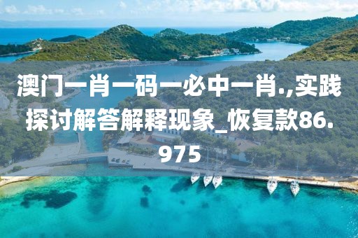 澳门一肖一码一必中一肖.,实践探讨解答解释现象_恢复款86.975