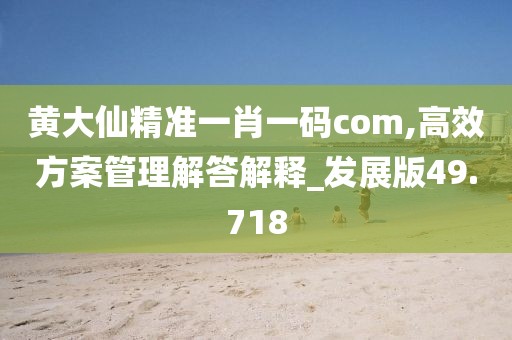 黄大仙精准一肖一码com,高效方案管理解答解释_发展版49.718