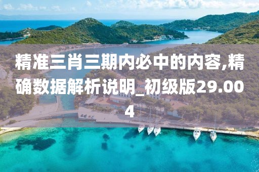 精准三肖三期内必中的内容,精确数据解析说明_初级版29.004