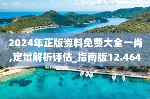 2024年正版资料免费大全一肖,定量解析评估_指南版12.464