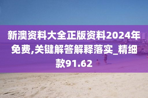 新澳资料大全正版资料2024年免费,关键解答解释落实_精细款91.62