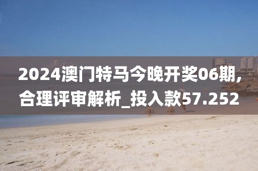 2024澳门特马今晚开奖06期,合理评审解析_投入款57.252