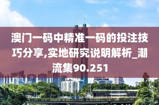 澳门一码中精准一码的投注技巧分享,实地研究说明解析_潮流集90.251