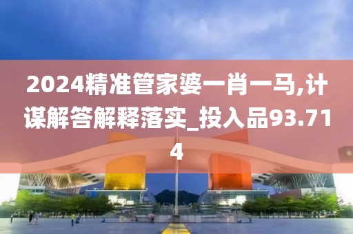 2024精准管家婆一肖一马,计谋解答解释落实_投入品93.714