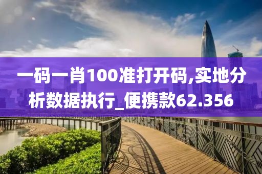 一码一肖100准打开码,实地分析数据执行_便携款62.356