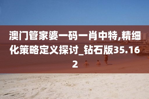 澳门管家婆一码一肖中特,精细化策略定义探讨_钻石版35.162