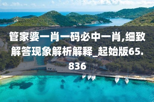管家婆一肖一码必中一肖,细致解答现象解析解释_起始版65.836