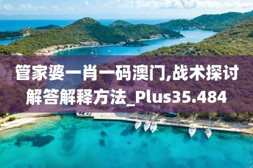 管家婆一肖一码澳门,战术探讨解答解释方法_Plus35.484