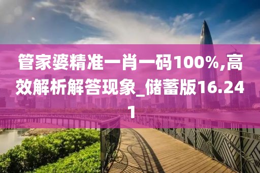 管家婆精准一肖一码100%,高效解析解答现象_储蓄版16.241