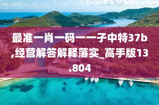 最准一肖一码一一子中特37b,经营解答解释落实_高手版13.804