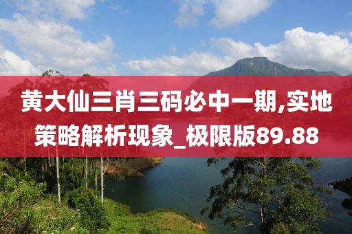 黄大仙三肖三码必中一期,实地策略解析现象_极限版89.88