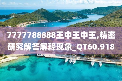 7777788888王中王中王,精密研究解答解释现象_QT60.918