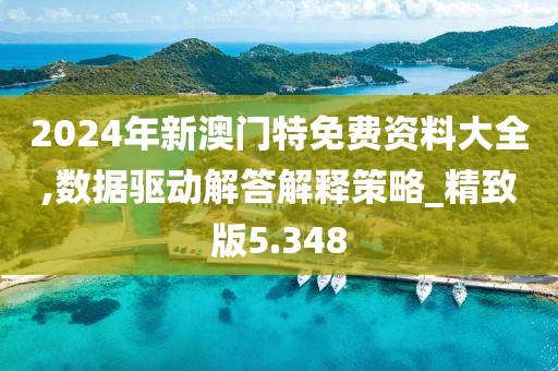 2024年新澳门特免费资料大全,数据驱动解答解释策略_精致版5.348