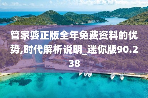 管家婆正版全年免费资料的优势,时代解析说明_迷你版90.238
