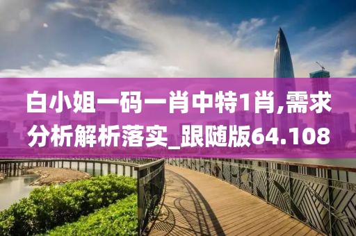 白小姐一码一肖中特1肖,需求分析解析落实_跟随版64.108