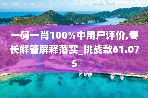 一码一肖100%中用户评价,专长解答解释落实_挑战款61.075