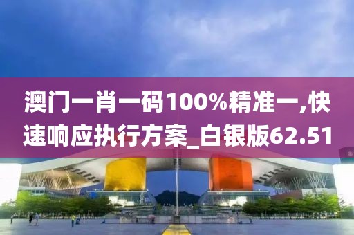澳门一肖一码100%精准一,快速响应执行方案_白银版62.51