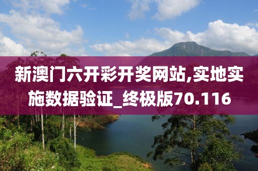 新澳门六开彩开奖网站,实地实施数据验证_终极版70.116