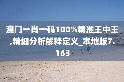 澳门一肖一码100%精准王中王,精细分析解释定义_本地版7.163