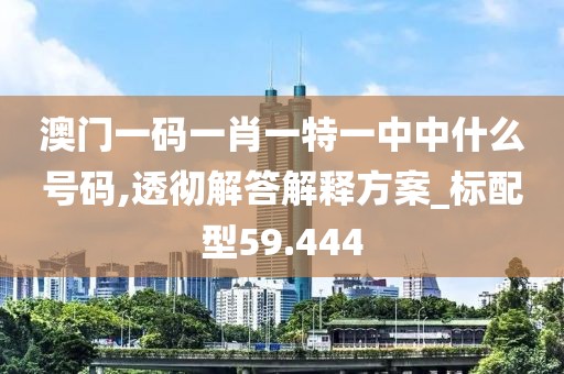 澳门一码一肖一特一中中什么号码,透彻解答解释方案_标配型59.444
