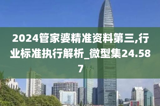 2024管家婆精准资料第三,行业标准执行解析_微型集24.587