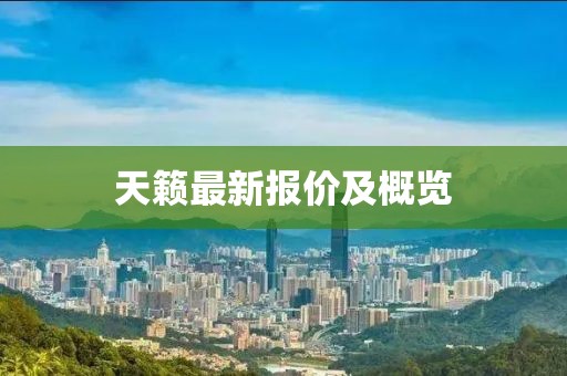 天籁最新报价及概览