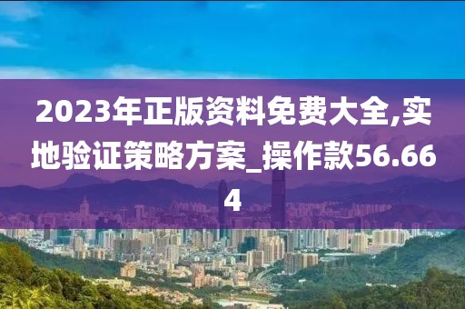 2023年正版资料免费大全,实地验证策略方案_操作款56.664