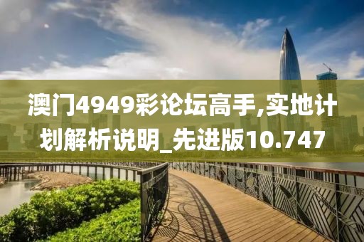 澳门4949彩论坛高手,实地计划解析说明_先进版10.747