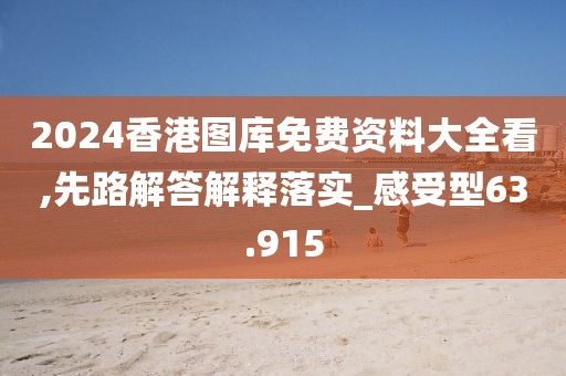 2024香港图库免费资料大全看,先路解答解释落实_感受型63.915