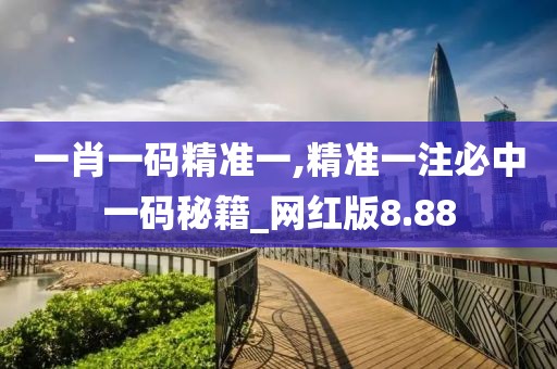 一肖一码精准一,精准一注必中一码秘籍_网红版8.88