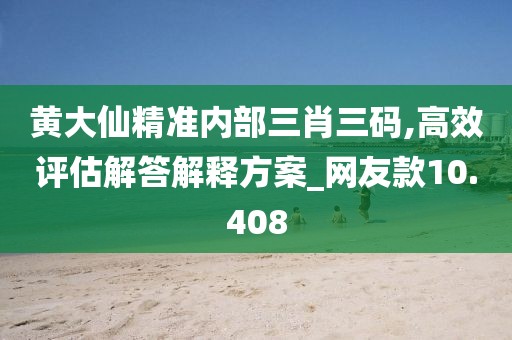 黄大仙精准内部三肖三码,高效评估解答解释方案_网友款10.408