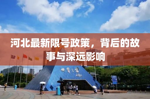 两把枪闯天下 第53页