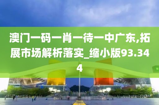 澳门一码一肖一待一中广东,拓展市场解析落实_缩小版93.344