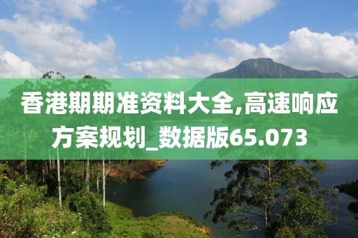 香港期期准资料大全,高速响应方案规划_数据版65.073